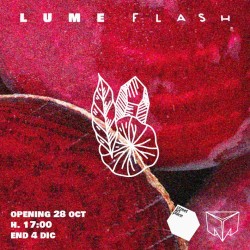 Lume - Flash Tiles 1